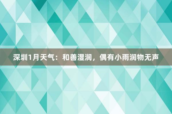 深圳1月天气：和善湿润，偶有小雨润物无声